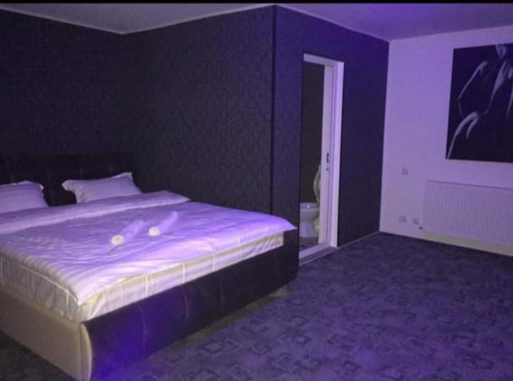 مبيت وإفطار بوخارست Ely'S Mansion-24H Check-In المظهر الخارجي الصورة